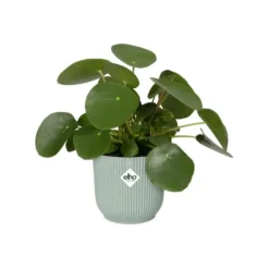 Outlet ELHO Cache-pot en plastique recyclé vert sorbet Vibes fold rond mini - Ø 11 cm