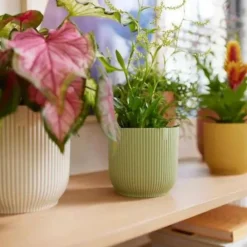 Best ELHO Cache-pot en plastique recyclé vert sorbet Vibes fold rond - Ø 14 cm