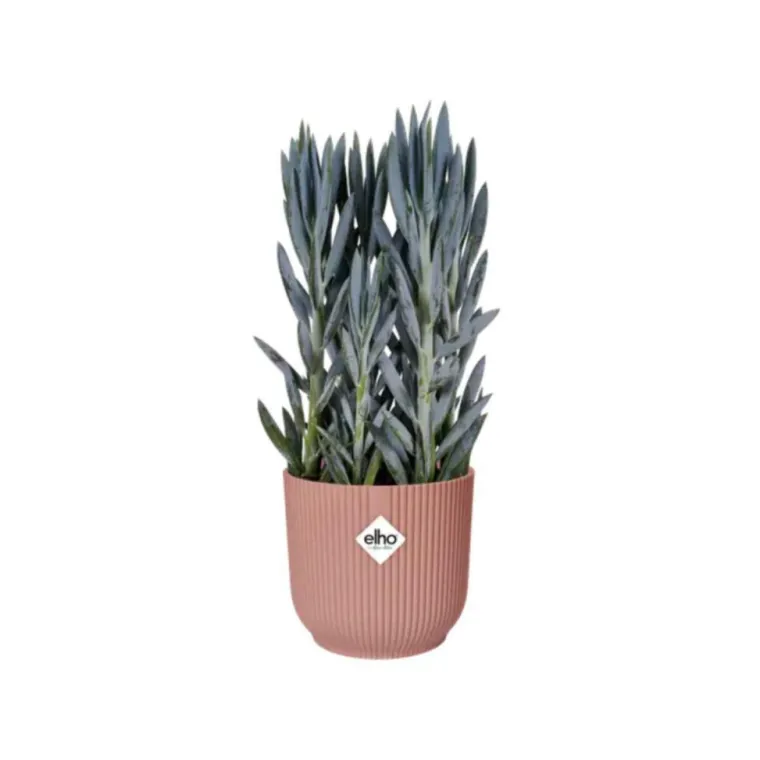 New ELHO Cache-pot rose poudré Vibes Fold Roues - Ø 35 cm