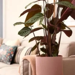 New ELHO Cache-pot rose poudré Vibes Fold Roues - Ø 35 cm