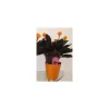Discount Calathea Crocata et cache-pot