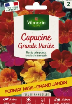 Best VILMORIN Capucine grande variée Grand jardin Format maxi - graines à semer
