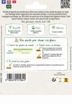 Best VILMORIN Capucine grande variée Grand jardin Format maxi - graines à semer