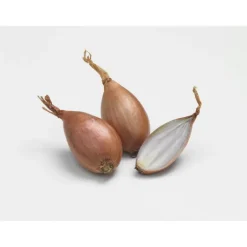 Discount BULBEO Échalote elisor filet de 500 g calibre 15 à 35