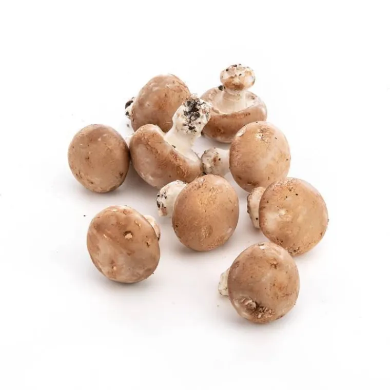 Clearance Champignons de Paris bruns biologiques - prix au kg