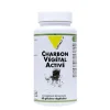 New VIT'ALL+ Charbon végétal activé en boite de 400 mg