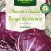 Online VILMORIN Chicorée à feuilles rouge de Vérone - graines à semer