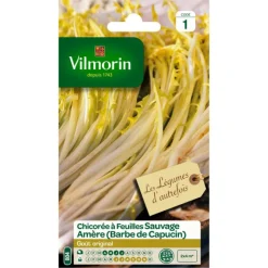 Online VILMORIN Chicorée à feuilles Sauvage Amère - graines à semer