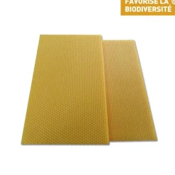 Clearance ROUTE D'OR Cire gaufrée conventionnelle pour hausse de ruche 13x41 cm