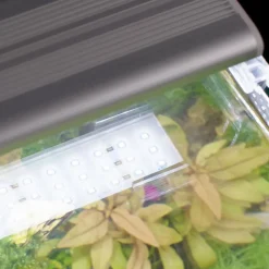 Clearance BLUE CORAL Éclairage LED universel 20W - AQUATLANTIS Univ LED Plus 376