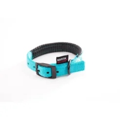 Best MARTIN SELLIER Collier droit Confort pour chien coloris turquoise - 2x45 cm