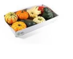 Discount Coloquinte - Ø 10 cm