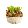 Sale BOTANIC® Composition de 5 jacinthes en coupe bouleau