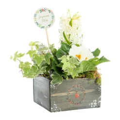 Hot BOTANIC® Composition florale Automne Hiver pot bois - 14 x 14 cm