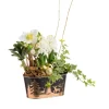 New BOTANIC® Composition helléboreet jacinthe en jardinette zinc décor sapin or