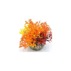 Outlet LABEO Corail coloré orange en plastique 12 x 10 cm