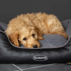 Clearance SCRUFFS Corbeille à mémoire de forme pour chien gris Hilton – Taille S