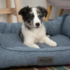 Best SCRUFFS Corbeille pour chien bleu Manhattan – Taille M