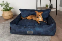 Outlet SCRUFFS Corbeille pour chien bleu Kensington – Taille XL