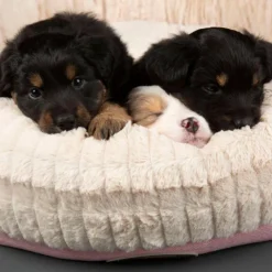 Hot SCRUFFS Corbeille pour chien rose Ellen - Taille XL