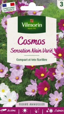 Clearance VILMORIN Cosmos Sensation Nain Varié - graines à semer