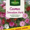Hot VILMORIN Cosmos Sensation variée Grand jardin Format maxi - graines à semer