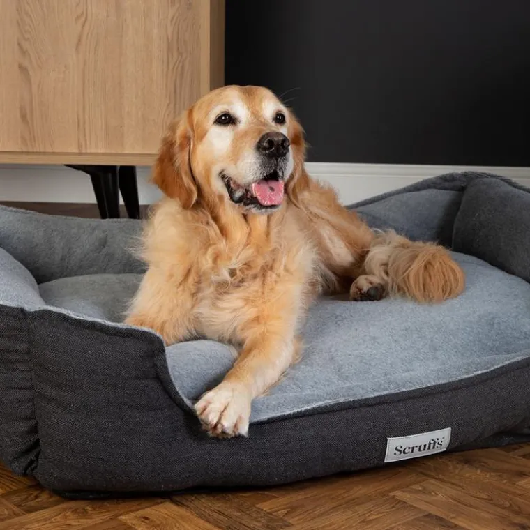 Clearance SCRUFFS Couchage orthopédique pour chien coloris gris Harvard - Taille XXL 110 x 82 x 22 cm
