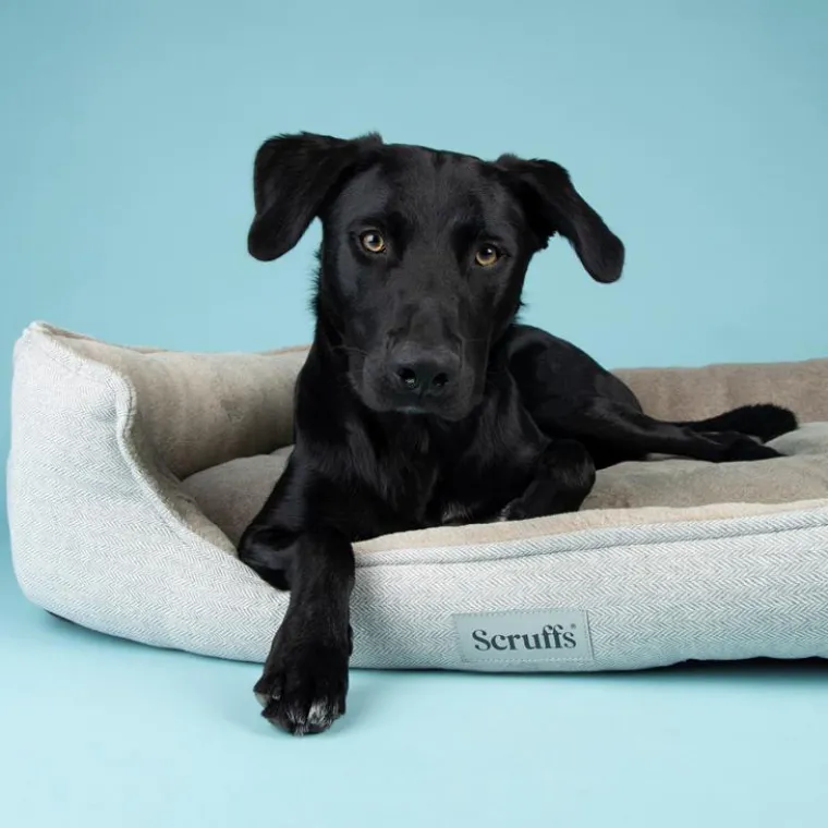 Discount SCRUFFS Couchage orthopédique pour chien coloris marron Harvard - Taille XXL 110 x 82 x 22 cm