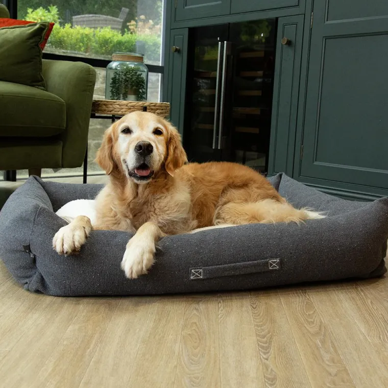 Sale SCRUFFS Couchage pour chien coloris gris corbeille Eco Eden - Taille XL 90 x 70 cm