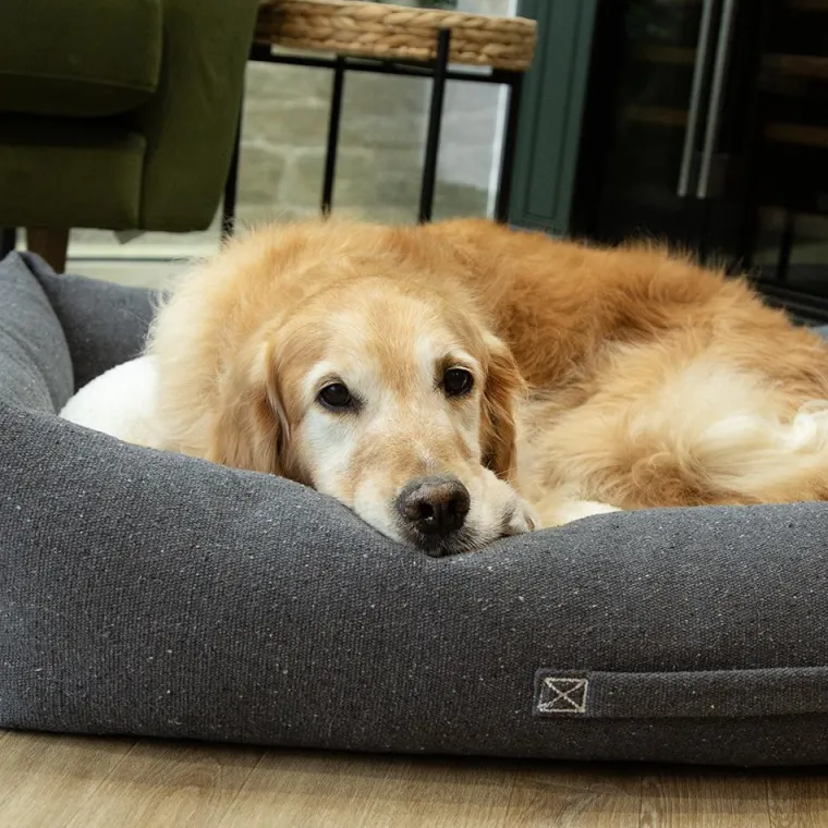 Sale SCRUFFS Couchage pour chien coloris gris corbeille Eco Eden - Taille XL 90 x 70 cm