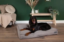 Hot SCRUFFS Couchage pour chien coloris gris coussin Seattle - Taille M 80 x 60 x 14 cm