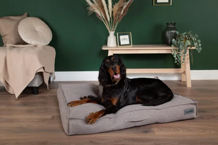 Hot SCRUFFS Couchage pour chien coloris gris coussin Seattle - Taille M 80 x 60 x 14 cm