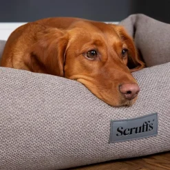 Outlet SCRUFFS Couchage pour chien coloris gris corbeille Ellen - Taille XL 90 x 70 x 18 cm