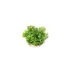 Online LABEO Coupe gazon vert en plastique Ø 9 cm