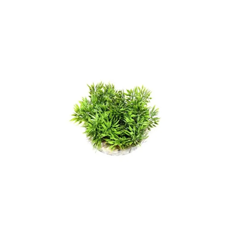 Online LABEO Coupe gazon vert en plastique Ø 9 cm