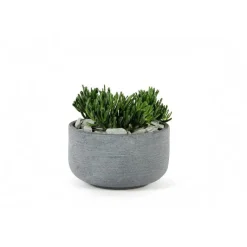 Outlet MICA DÉCORATIONS Coupe Stream Anthracite Ø.32 x H.18 cm