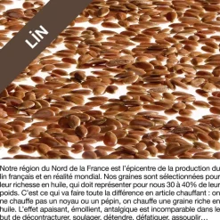 MILLE OREILLERS Coussin chauffant des kinés aux graines de lin - 24 x 50 cm