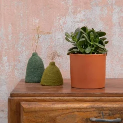 Best BOTANIC® Crassula argentea en pot terre cuite H 10 x Ø 15 cm