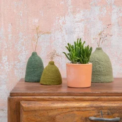 New BOTANIC® Crassula mix en pot terre cuite Ø 10 cm