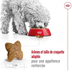 Discount ROYAL CANIN Croquette pour chien adulte de petite taille - 4 kg
