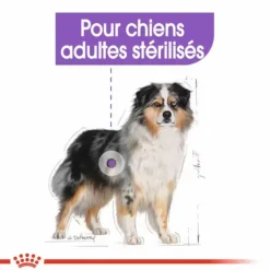 Sale ROYAL CANIN Croquette pour chien adulte stérilisé de taille moyenne - 3 kg