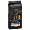 Outlet PRO PLAN Croquette pour chien adulte robuste au poulet – 14 kg