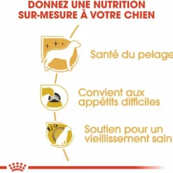 Online ROYAL CANIN Croquette pour chien adulte Yorkshire - 1,5 kg