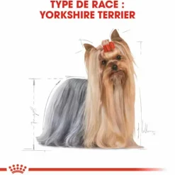 Online ROYAL CANIN Croquette pour chien adulte Yorkshire - 1,5 kg