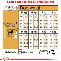 Outlet ROYAL CANIN Croquette pour chien adulte Labrador Retriever - 12 kg