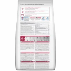 Hot HILL'S Croquette pour chien adulte au poulet - 12 kg