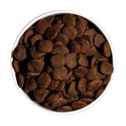 Best OWNAT Croquette pour chien adulte sensible Grain Free à l'agneau - 3 kg