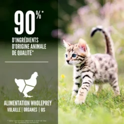 Best ORIJEN Croquettes Chaton - 1,8 kg