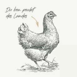 BAB'IN Croquettes pour chat adulte stérilisé au poulet sans céréales grandes races Signature - 3 kg