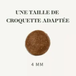 BAB'IN Croquettes pour chat adulte stérilisé au poulet sans céréales grandes races Signature - 3 kg
